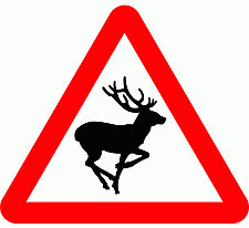 DOT No 551 Beware of Wild animals Official Department of Transport Category: Warning Signs / Official schedule number: 1