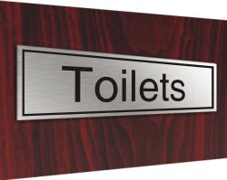 Stainless plaque toilets 