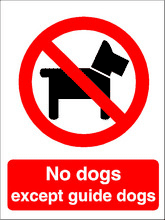 no dogs No dogs except guide dogs